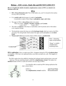 Biology Study guide 2 with standards-DNA