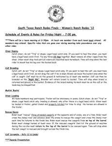 Finals Womens Rodeo Rules - South Texas Ranch Rodeo Association