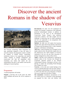 big heritage consultancy vesuvian archaeology study programme