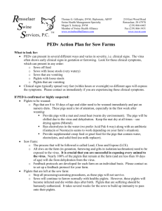 PEDv Action Plan for Sow Farms What to look for: PEDv can present