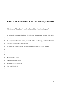 Cane Toad Sex Chromosomes - Springer Static Content Server