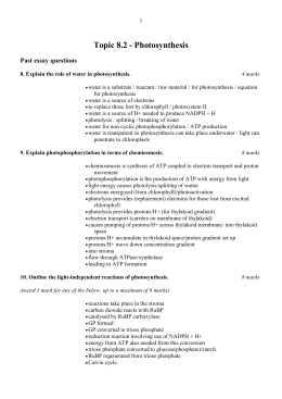 Photosynthesis Test Review Be Sure To Know The Summary Equation Photosynthesis Essay Qus Research Proposal Essay Example also Essay On English Language Topics For An Essay Paper