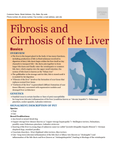 fibrosis_and_cirrhosis_of_the_liver