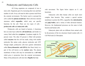 prokaryotic and eukaryotic cells lesson