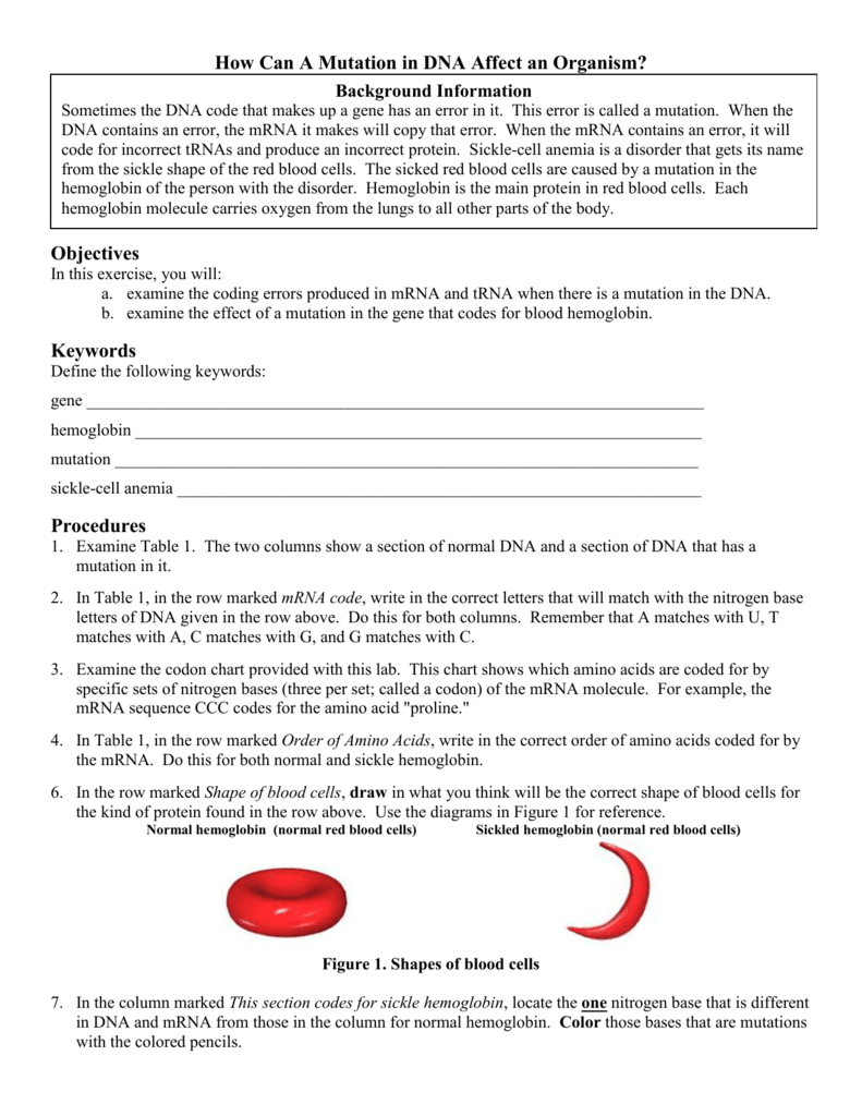 Mutations activity worksheet answer key biology ...