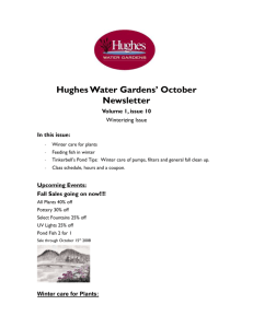 Hughes Water Gardens` October Newsletter Volume 1, issue 10
