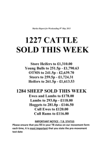 Wk19.13.06.05.13 - Newark Livestock Sales