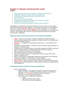 Chapter 9 Meiosis and Sexual life cycles - An