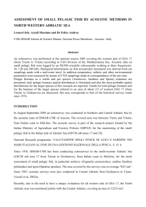 GSA 17 2005 report