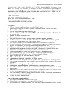 Exam 3 Review Sheet 2004