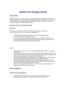 General Advice for travellers