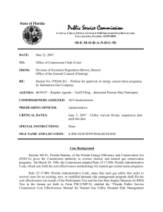 070246.RCM - Florida Public Service Commission
