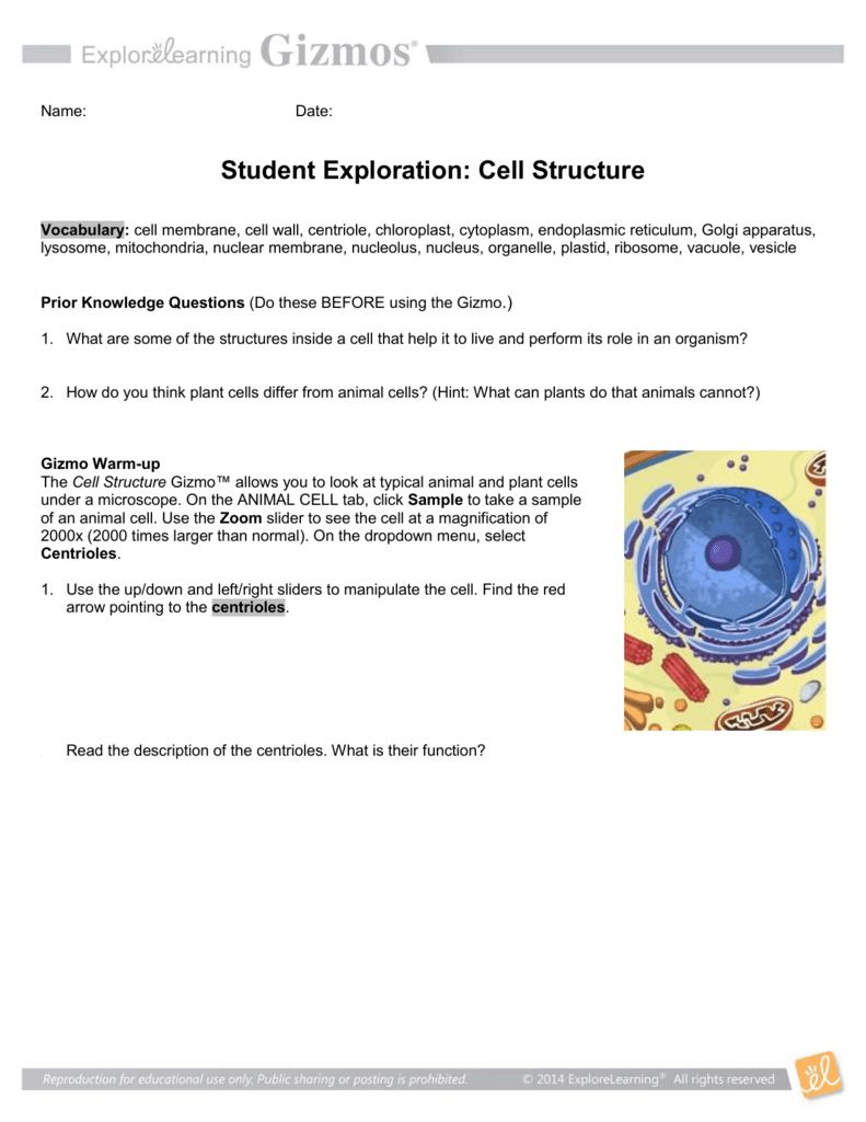 Cell Structure