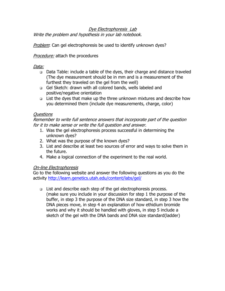 Gel Electrophoresis Worksheet Answers