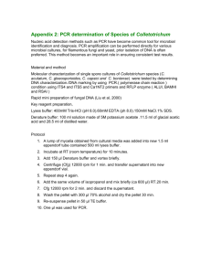 Appendix 2-4: Disease assay protocols