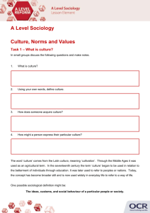 Culture, norms and values