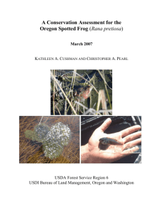 Conservation Assessment for the Oregon Spotted Frog