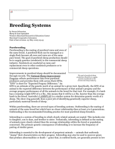 Sheep 201 - Breeding Systems