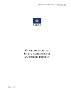 611379280_Safety_Assessment_Guidelines_final