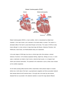 Dilated Cardiomyopathy (DCM)