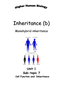 Inheritance 2