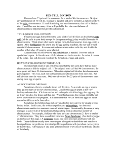 Sex cell division reading