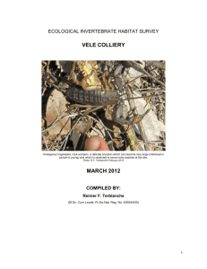 Ecological invertebrate habitat survey, March