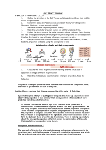 CELLS - STUDY GUIDE