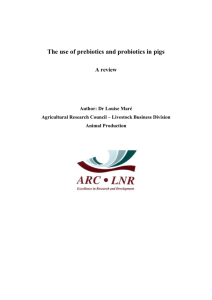 The use of prebiotics and probiotics in pigs