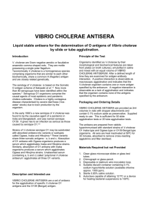 INSTRUCTIONS - Vibrio cholera antisera