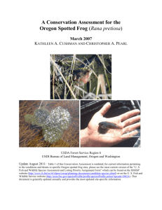 Conservation Assessment for the Oregon Spotted Frog