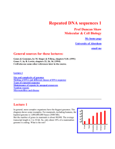 Repeated DNA sequences - lecture 1