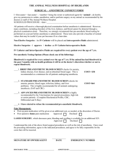Surgical Anesthetic Consent Form - Animal Wellness Hospital of
