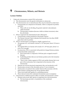 Chapter 9: Chromosomes, Mitosis, and Meiosis