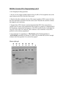 BIO304: Forensic DNA Fingerprinting Lab II