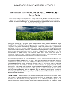 FACTSHEET - IEN Biofuels - Grassroots Global Justice Alliance