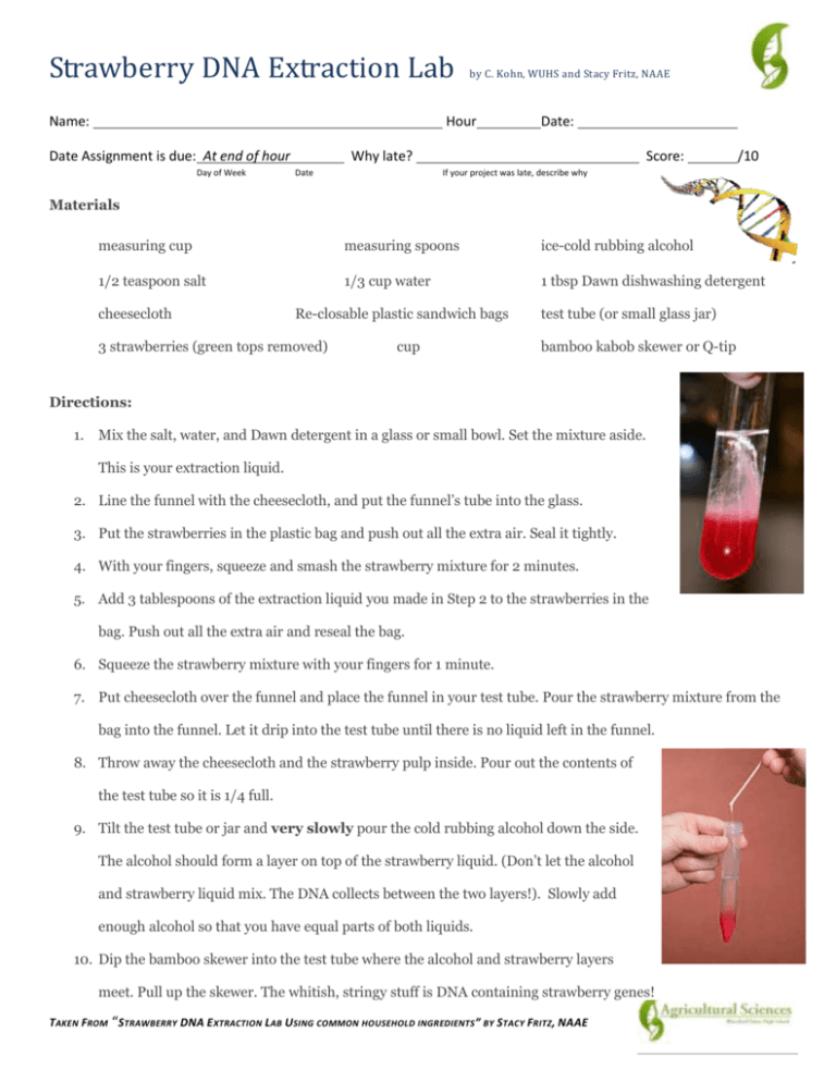 Strawberry DNA Extraction Lab by C Kohn WUHS and Stacy Fritz