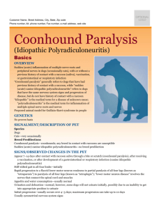 coonhound_paralysis