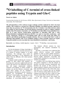 18O labeling of C-termini of cross-linked peptides using trypsin and