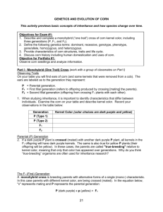 INHERITANCE IN CORN
