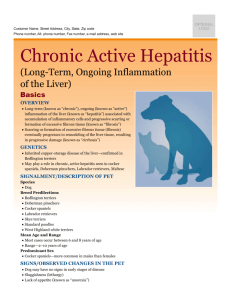chronic_active_hepatitis