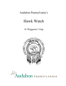 access to site - Waggoner`s Gap Hawk Watch