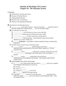 AMY 2-A Anatomy & Physiology Lecture