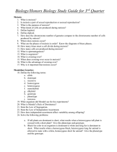Biology/Honors Biology Study Guide for 3rd Quarter