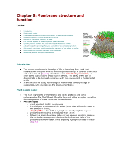 Chapter 5 Membrane structure and function - An