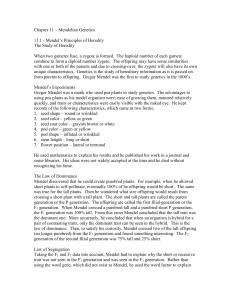 Chapter 11 – Mendelian Genetics