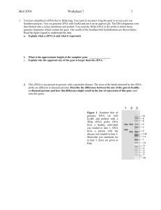 Worksheet 8 - Chap 14, 15, & 16