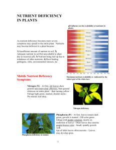 MOST COMMON NUTRIENT DEFICIENCIES IN VASCULAR PLANTS