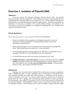 Exercise 3. Isolation of Plasmid DNA