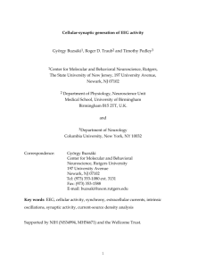 Cellular-synaptic generation of EEG activity
